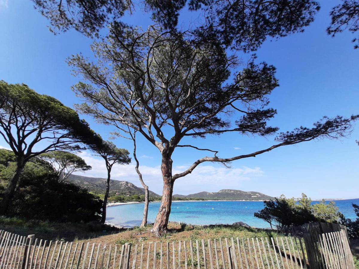 Cyrnea B&B - Adults Only Porto-Vecchio  Exterior foto