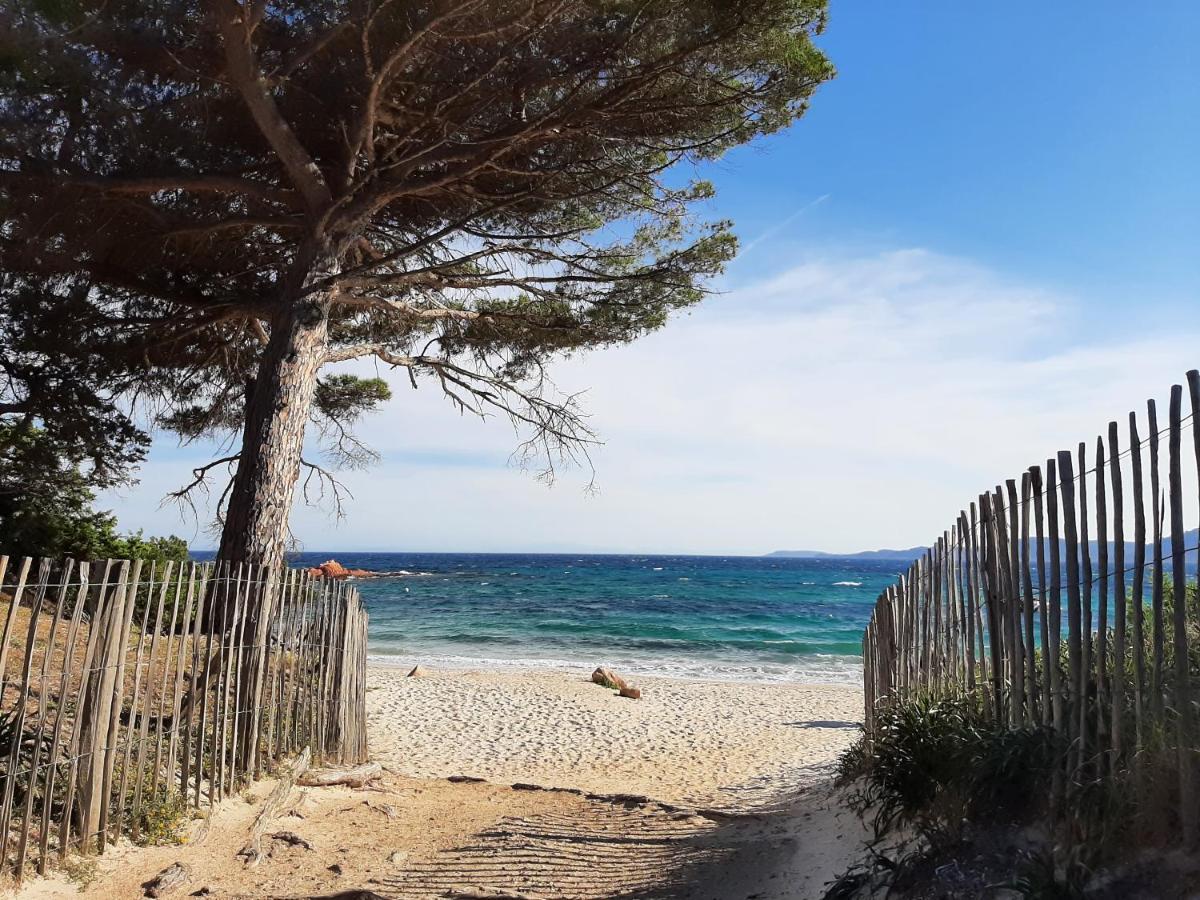 Cyrnea B&B - Adults Only Porto-Vecchio  Exterior foto