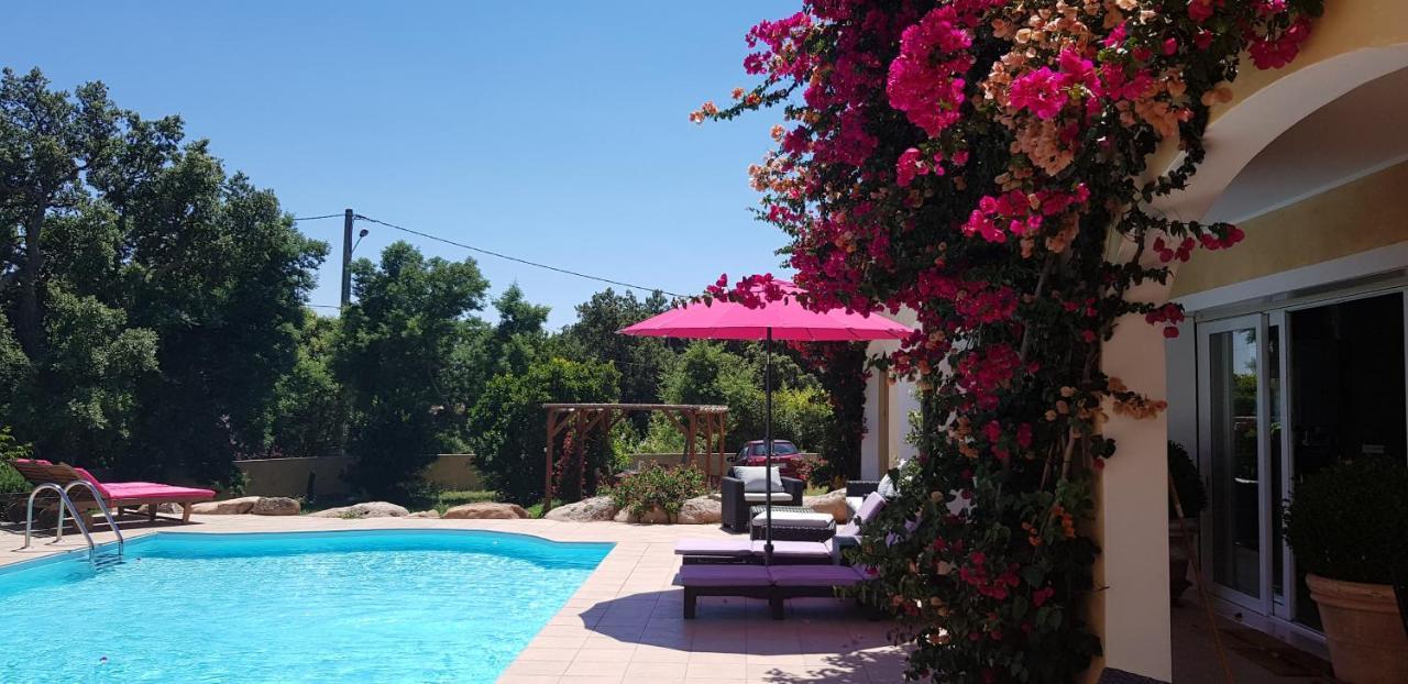Cyrnea B&B - Adults Only Porto-Vecchio  Exterior foto